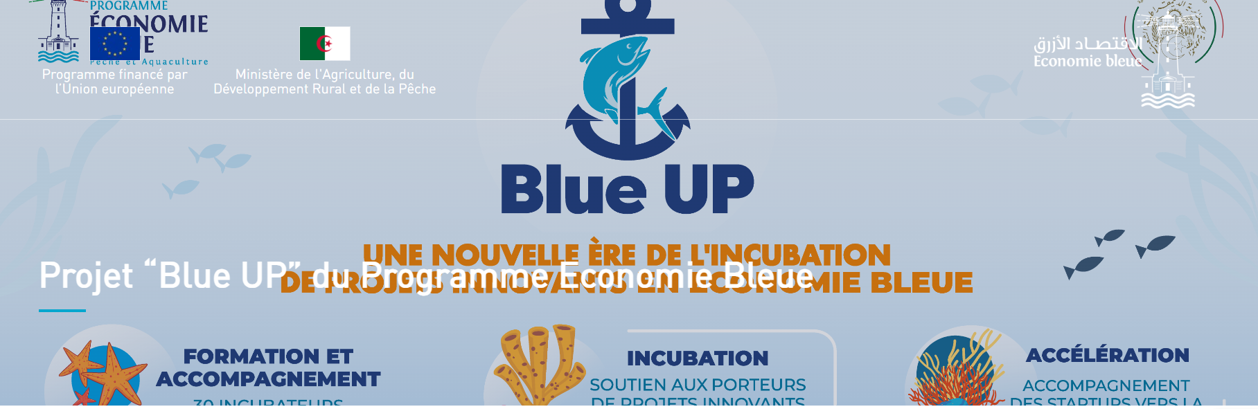 Blue UP